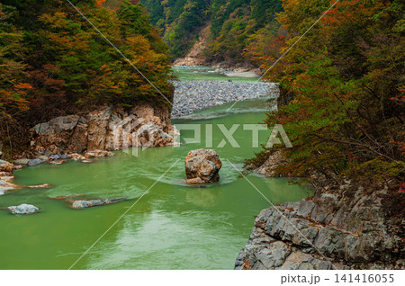 龍王峡を流れる鬼怒川と山間の色づく紅葉 龍王峡を流れる鬼怒川と山間の色づく紅葉 141416055