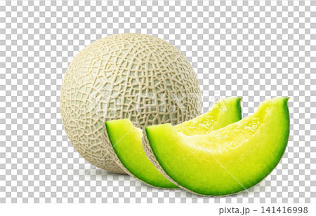 Realistic Melon Illustration on a White Background Realistic Melon Illustration on a White Background 141416998