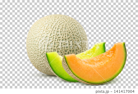 Realistic Melon Illustration on a White Background Realistic Melon Illustration on a White Background 141417004