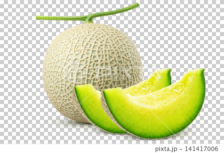 Realistic Melon Illustration on a White Background 141417006