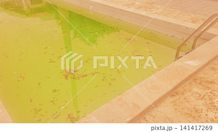 Dirty swimming pool with green algae water ladder and fallen dry leaves floating on surface requiring urgent chemical treatment and maintenance by pool cleaner 141417269