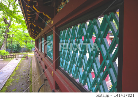 April 25 2026 Ueno Toshogu Shrine Corridor With Teal Lattice 141417821