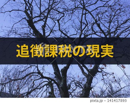 追徴課税の現実の文字入り背景 追徴課税の現実の文字入り背景 141417893