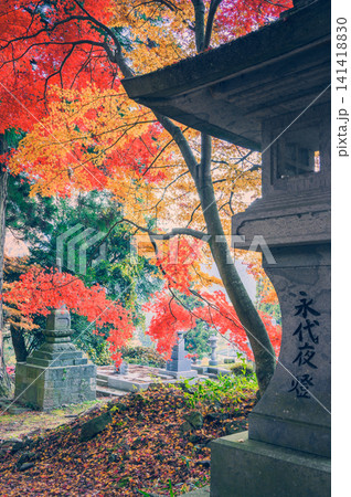 【清水寺】灯籠と紅葉【長野市】 【清水寺】灯籠と紅葉【長野市】 141418830