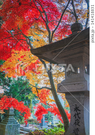 【清水寺】灯籠と紅葉【長野市】 【清水寺】灯籠と紅葉【長野市】 141418831