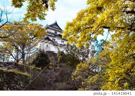 和歌山城の天守閣 141419041