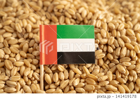 United Arab Emirates wheat with India flag, trade export and economy. 141419178