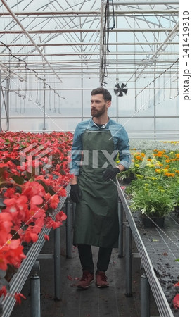 Vertical video Gardeners working at the greenhouse seedlings successfully puts. 141419310
