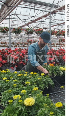 Vertical video Happy Industrial Greenhouse Worker Carry Boxes Full of Flowers. Smiling and Happy man with flowers he Growing. Vertical video Happy Industrial Greenhouse Worker Carry Boxes Full of Flowers. Smiling and Happy man with flowers he Growing. 141419349