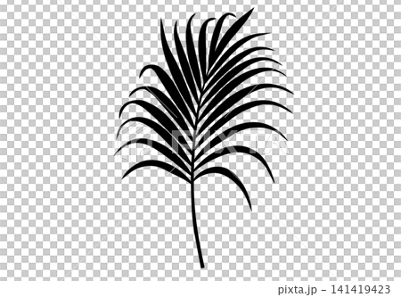 Aesthetic palm leaf silhouette design Aesthetic palm leaf silhouette design 141419423