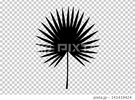 Aesthetic single palm leaf silhouette design Aesthetic single palm leaf silhouette design 141419424