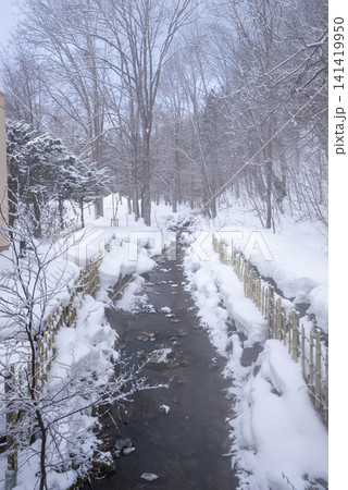 北海道の冬、雪に覆われた川と裸木が織りなす静寂の風景 141419950