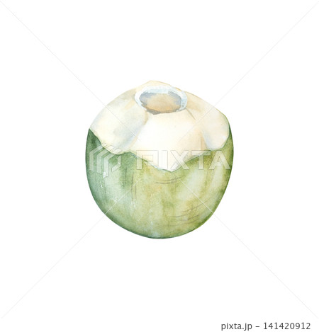 Watercolor illustration of a green tropical coconut. A cold, refreshing drink for travel, the beach, or vacation. A coconut water cocktail for a seaside or ocean getaway. A delicious summer drink. 141420912