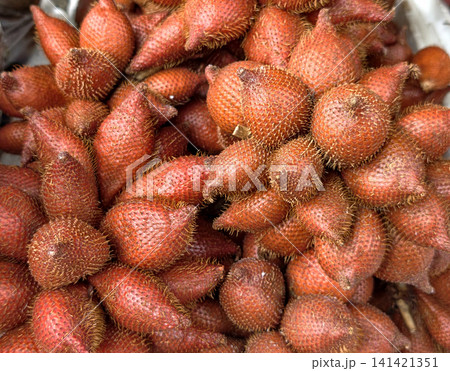 Close-up of fresh red salak zalacca fruits at market 141421351