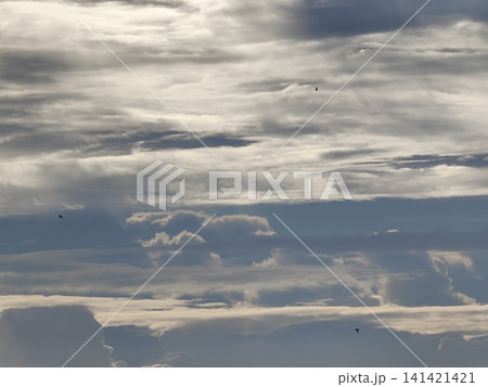 Two Birds Flying Across Overcast Grey Cloudy Sky Two Birds Flying Across Overcast Grey Cloudy Sky 141421421