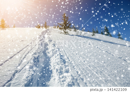 Beautiful winter landscape. Steep mountain hill slope with path and ski tracks in white deep snow, green spruce trees, large snowflakes and bright shining sun rays on blue sky copy space background. Beautiful winter landscape. Steep mountain hill slope with path and ski tracks in white deep snow, green spruce trees, large snowflakes and bright shining sun rays on blue sky copy space background. 141422109