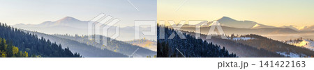 Amazing soft sunrise panorama in mountains. Cerpathian mountain peaks and hills in autumn over the tops of pine trees Amazing soft sunrise panorama in mountains. Cerpathian mountain peaks and hills in autumn over the tops of pine trees 141422163