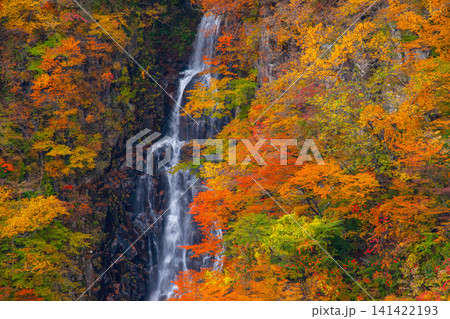 三階滝(宮城県・蔵王町)の紅葉 三階滝(宮城県・蔵王町)の紅葉 141422193