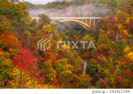 秋の鳴子峡 大深沢橋の紅葉風景 秋の鳴子峡 大深沢橋の紅葉風景 141422194