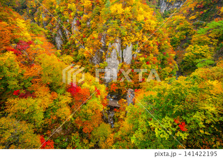 深さ100mに及ぶ大峡谷、鳴子峡の紅葉 深さ100mに及ぶ大峡谷、鳴子峡の紅葉 141422195