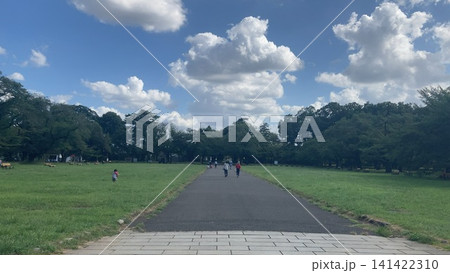 大きな公園の広場 141422310