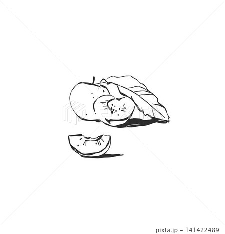 Continuous line drawing of graphic abstract fruits harvest ink sketch silhouette for food design and menu. Minimalist art style. Editable stroke. Doodle hand drawn vector illustration 141422489
