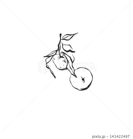 Continuous line drawing of graphic abstract fruits harvest ink sketch silhouette for food design and menu. Minimalist art style. Editable stroke. Doodle hand drawn vector illustration Continuous line drawing of graphic abstract fruits harvest ink sketch silhouette for food design and menu. Minimalist art style. Editable stroke. Doodle hand drawn vector illustration 141422497