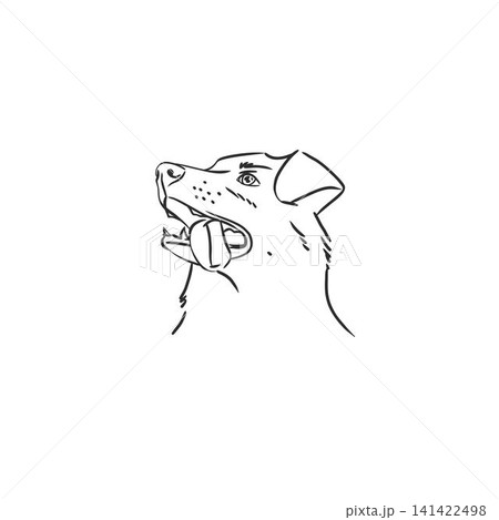 Hand drawn vector abstract graphic line collection with doodle cute funny cartoon dog characters.Vector illustration of funny cartoon adorable cat in trendy style. Line icon pet print. Hand drawn vector abstract graphic line collection with doodle cute funny cartoon dog characters.Vector illustration of funny cartoon adorable cat in trendy style. Line icon pet print. 141422498