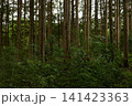 森の中から3 141423363