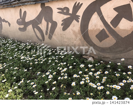 Wall Mural Silhouette with White Daisy Flowers in Foreground 141423874