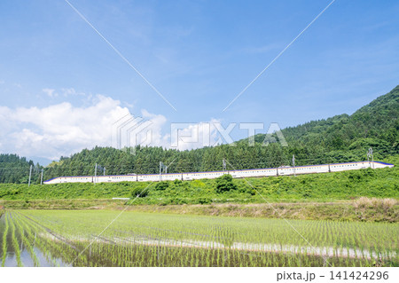 【山形新幹線】田園地帯を通過する特急つばさ 【山形新幹線】田園地帯を通過する特急つばさ 141424296