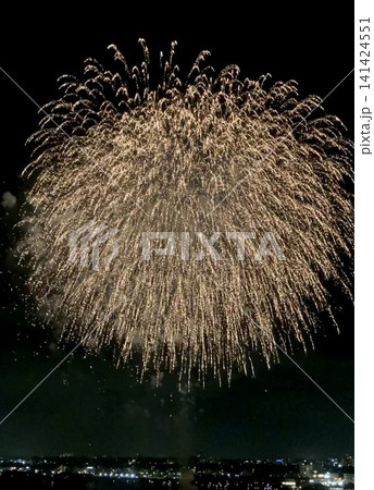 夜空を埋め尽くす黄金のしだれ花火(江の島・片瀬西浜) 夜空を埋め尽くす黄金のしだれ花火(江の島・片瀬西浜) 141424551