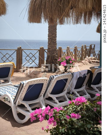 Tranquil sea view with sun loungers and a palm tree under an umbrella Tranquil sea view with sun loungers and a palm tree under an umbrella 141424615