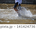川を疾走するダイナミックに水しぶきをあげる子供の足 141424736