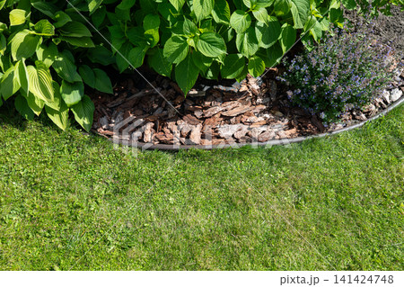 Decorative garden border with bark mulch and flowering plants 141424748