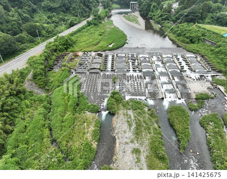 【空撮】安曇川の清流と安曇川リバーサイドの夏風景 【空撮】安曇川の清流と安曇川リバーサイドの夏風景 141425675