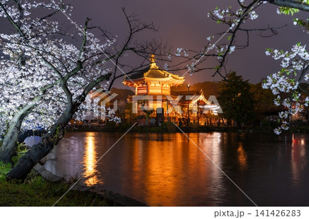雨夜の上野・不忍池に咲く夜桜と不忍池辯天堂のライトアップ 雨夜の上野・不忍池に咲く夜桜と不忍池辯天堂のライトアップ 141426283