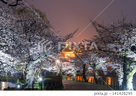 雨夜の上野・不忍池に咲く夜桜と不忍池辯天堂のライトアップ 141426295