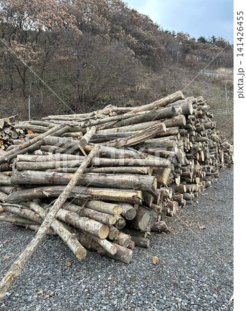 土場に大量に積み上げられた原木の山・北海道の林業と森林資源 土場に大量に積み上げられた原木の山・北海道の林業と森林資源 141426455