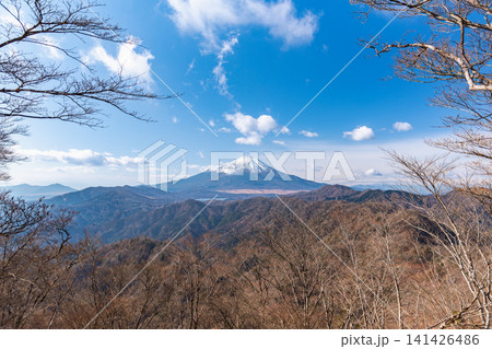 菰釣山付近から望む冬の富士山と青空の風景 141426486
