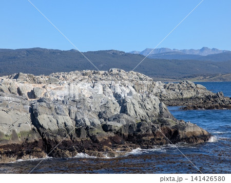 Imperial Cormorants on a Rocky Islet Beneath Patagonian Mountain Peaks 141426580