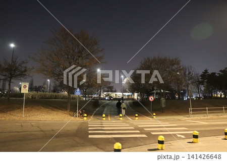 Nighttime Park Path with Pedestrians Nighttime Park Path with Pedestrians 141426648