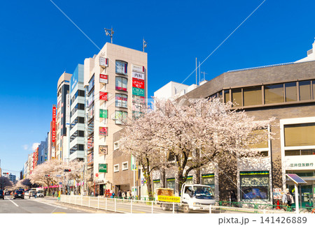 東京・中野駅前　中野通り　満開の桜 141426889