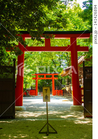 河合神社 女性守護神のご利益:美麗,安産,育児,縁結び,学業,長寿 河合神社 女性守護神のご利益:美麗,安産,育児,縁結び,学業,長寿 141426894