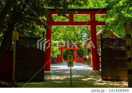 河合神社 女性守護神のご利益:美麗,安産,育児,縁結び,学業,長寿 河合神社 女性守護神のご利益:美麗,安産,育児,縁結び,学業,長寿 141426940