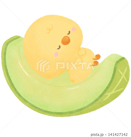Chicky with melon  141427142