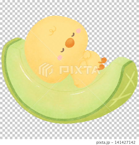 Chicky with melon  141427142
