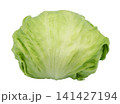 レタス 141427194