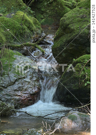 苔の岩肌と清流のナチュラルテクスチャ 141427528