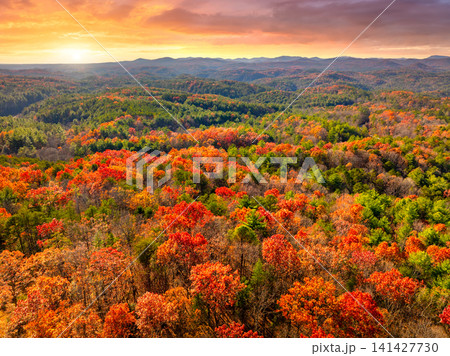 Colorful forest sunset landscape of Appalachian mountain hills in fall season. Yellow and orange canopies create vibrant autumn scenery. Colorful forest sunset landscape of Appalachian mountain hills in fall season. Yellow and orange canopies create vibrant autumn scenery. 141427730